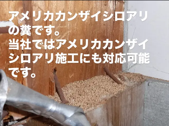 ★実績1000件以上★まずは無料見積もり★安全な薬剤★有資格者が作業★５年保証サービスの画像