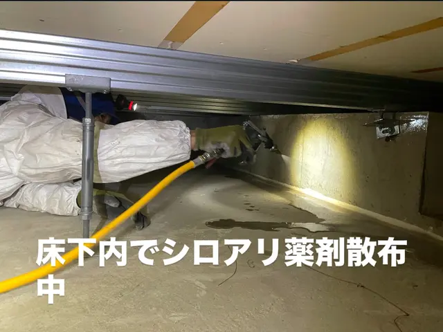 ★実績1000件以上★まずは無料見積もり★安全な薬剤★有資格者が作業★５年保証サービスの画像