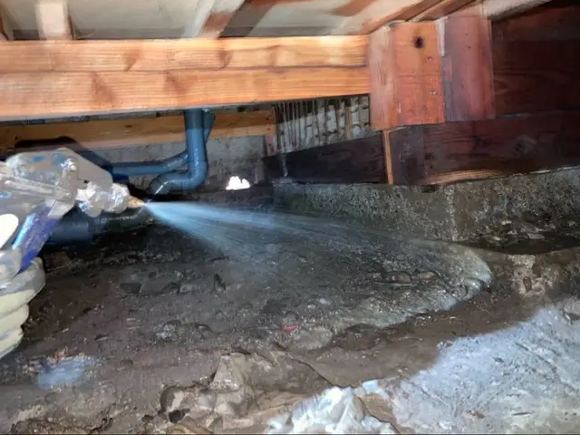 ★実績1000件以上★まずは無料見積もり★安全な薬剤★有資格者が作業★５年保証サービスの画像