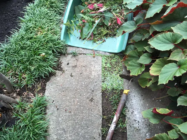 草刈り・除草のご依頼を喜んで賜ります！ご遠慮なくお問い合わせ下さいませ！サービスの画像