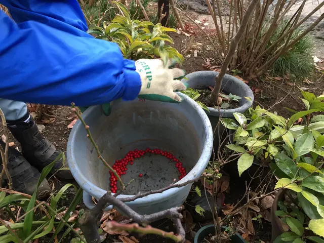 草刈り・除草のご依頼を喜んで賜ります！ご遠慮なくお問い合わせ下さいませ！サービスの画像
