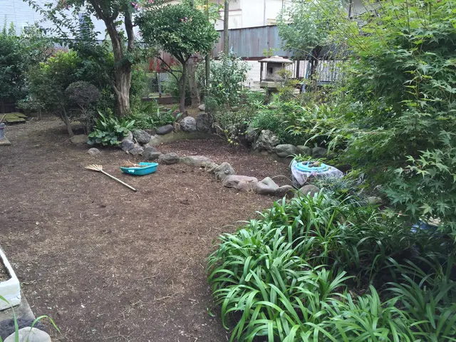 草刈り・除草のご依頼を喜んで賜ります！ご遠慮なくお問い合わせ下さいませ！サービスの画像