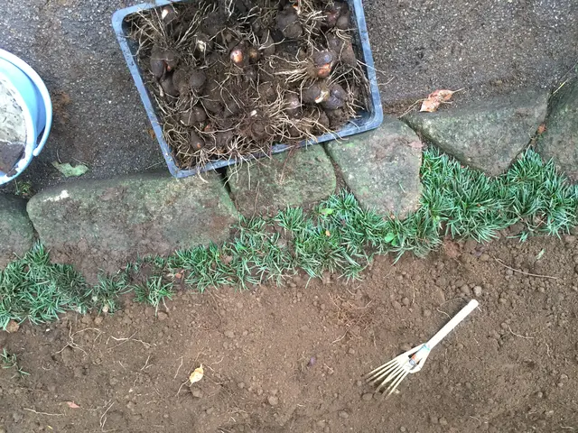 草刈り・除草のご依頼を喜んで賜ります！ご遠慮なくお問い合わせ下さいませ！サービスの画像