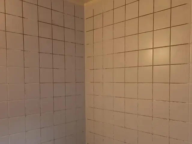 《専用洗剤で》極めた洗浄3段階から。取れない汚れの時は更に特殊洗浄で仕上げますサービスの画像