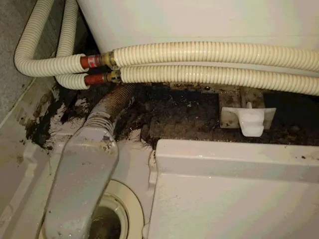 《専用洗剤で》極めた洗浄3段階から。取れない汚れの時は更に特殊洗浄で仕上げますサービスの画像