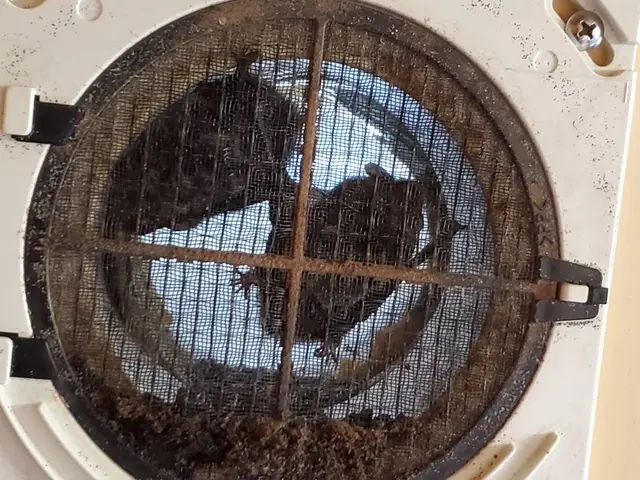 ◎基本料金55000円〜◎作業完了日から永年の保証をお付けいたします。サービスの画像