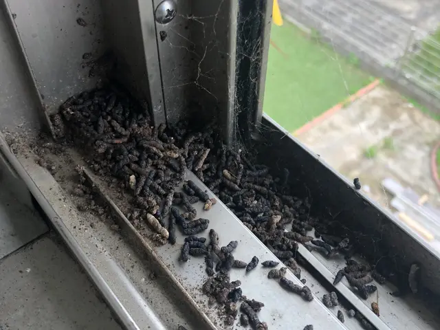 ◎基本料金55000円〜◎作業完了日から永年の保証をお付けいたします。サービスの画像