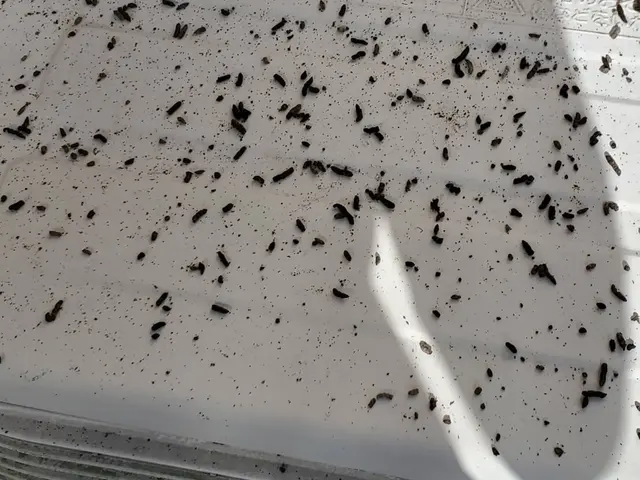 ◎基本料金55000円〜◎作業完了日から永年の保証をお付けいたします。サービスの画像