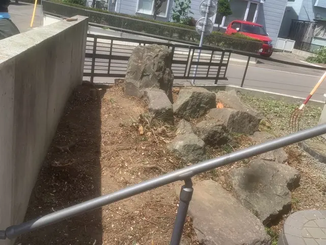 草刈り作業サービスの画像