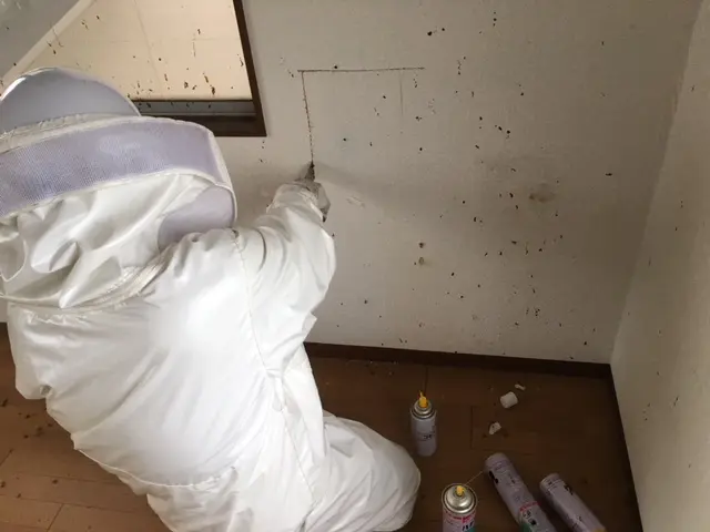 ＜実績豊富＞防虫対応んもプロ集団！アシナガバチ・スズメバチなども駆除対応可能！サービスの画像