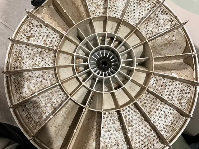 ★オープン記念キャンペーン中★期間限定料金サービスの画像