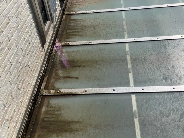 【自分では洗えないカーポートを清掃します！】高圧洗浄で泥や汚れを綺麗にします！サービスの画像