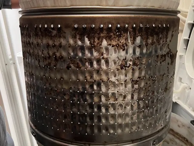 洗濯槽カビ、臭い気になりませんか？サービスの画像