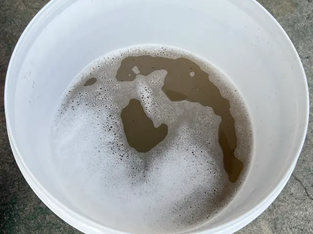 車内を完全除菌！匂いやシミも対応できますのでご相談ください！サービスの画像