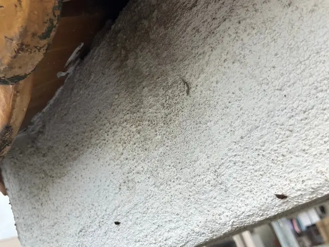 【対応地域外も相談可能◎】プロの技術で納得！安心安全な暮らしをお届けします。サービスの画像