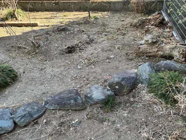 元自衛官が丁寧に仕上げる！感謝の声多数の庭の美化サービスサービスの画像