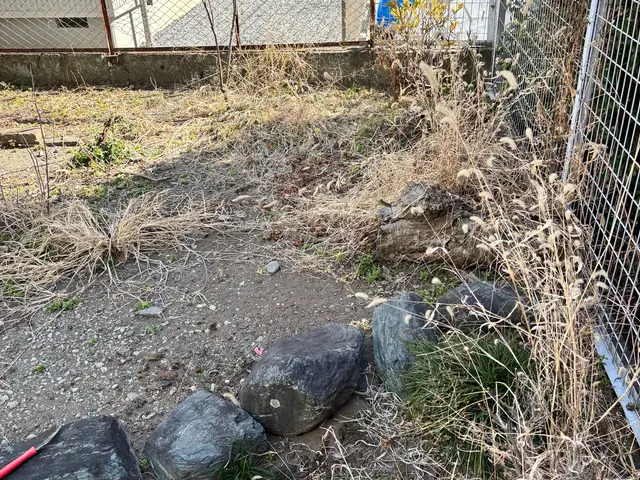 元自衛官が丁寧に仕上げる！感謝の声多数の庭の美化サービスサービスの画像