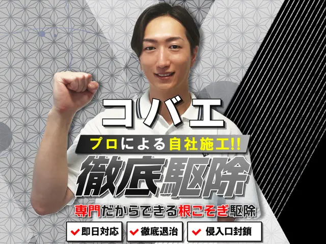 【徹底駆除】コバエ専門の徹底施工！繁殖しやすいコバエも徹底駆除☆サービスの画像