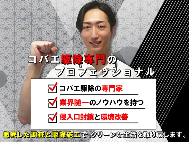 【徹底駆除】コバエ徹底駆除！繁殖しやすいコバエも完全駆除☆プロによる徹底施工！サービスの画像
