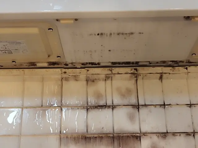 【1日1名様のみ】15年の実績と信頼！店長自ら丁寧に対応する安心の5点セットですサービスの画像