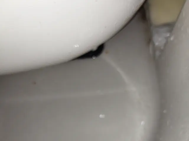 【1日1名様のみ】15年の実績と信頼！店長自ら丁寧に対応する安心の5点セットですサービスの画像