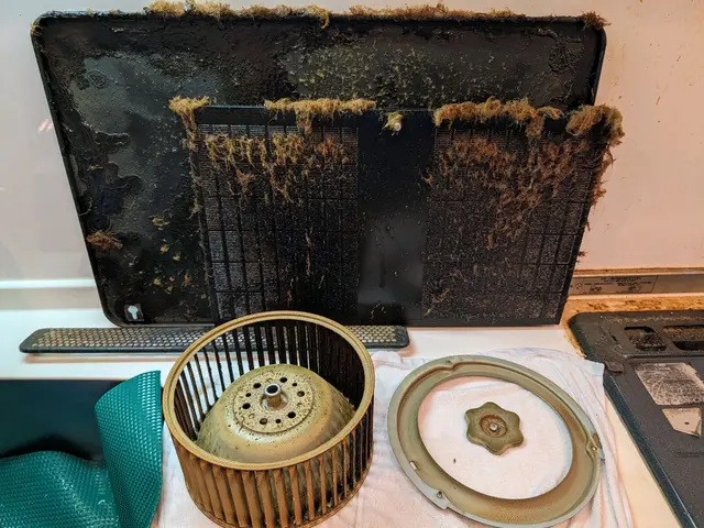 【1日1名様のみ】15年の実績と信頼！店長自ら丁寧に対応する安心の5点セットですサービスの画像