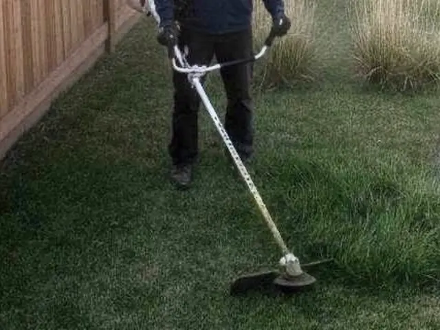 広い敷地もスピード対応！【まちの便利屋さん】本気の草刈り◉除草剤散布つきサービスの画像