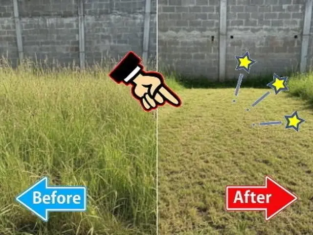 広い敷地もスピード対応！【まちの便利屋さん】本気の草刈り◉除草剤散布つきサービスの画像