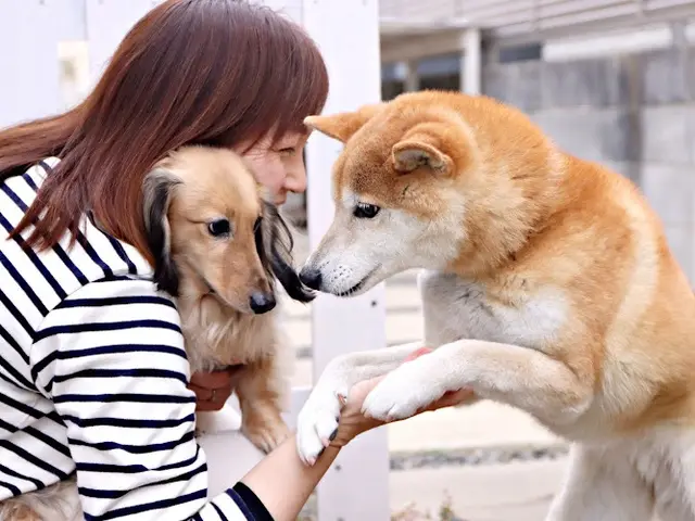 【和歌山北部/南泉州エリアは10%オフ！】初めてでも安心の女性フォトグラファー