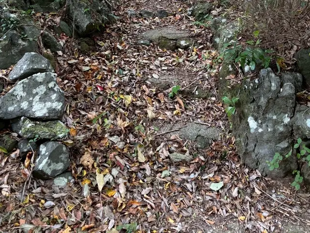 リピーター続出！丁寧で安心◎細かく綺麗に仕上げます【伊東市】サービスの画像