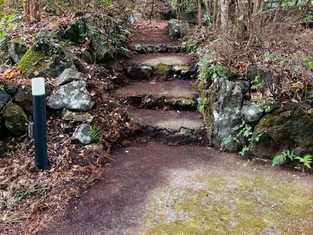 リピーター続出！丁寧で安心◎細かく綺麗に仕上げます【伊東市】サービスの画像