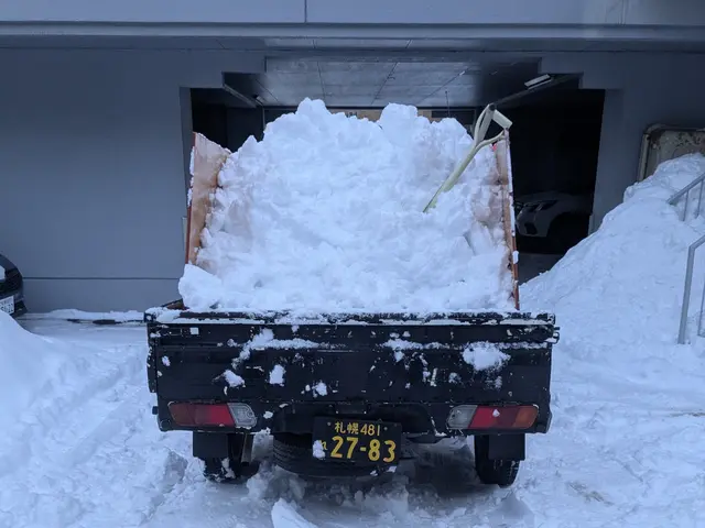 【即日対応可能】雪のお困り事は雪のプロ便利屋いい和ぁにお任せ！排雪可能です！サービスの画像