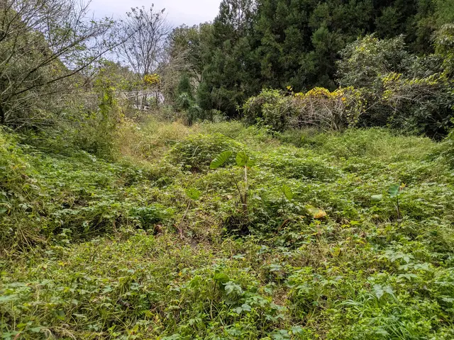 お客様のお力になります！経験と知識を活かして迅速丁寧に作業いたしますサービスの画像