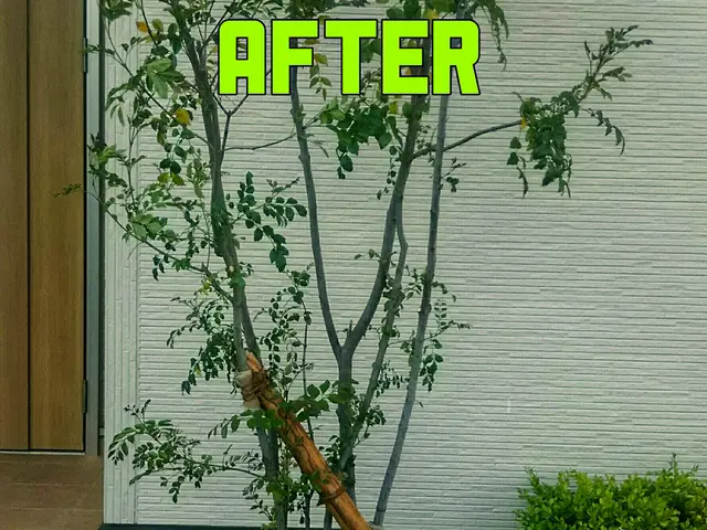 家の守り神でもある庭木、感謝して剪定させていただきますサービスの画像