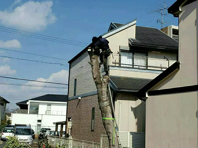 家の守り神でもある庭木、感謝して剪定させていただきますサービスの画像