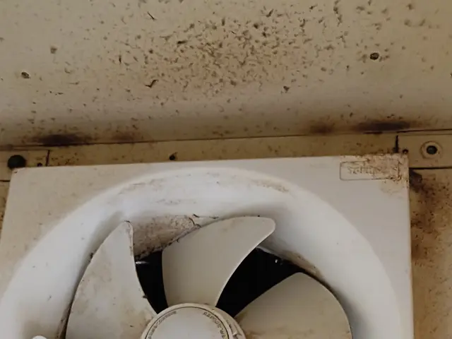 ★換気扇の油汚れはプロにお任せ！業務用の強力な洗剤で一発洗浄サービスの画像