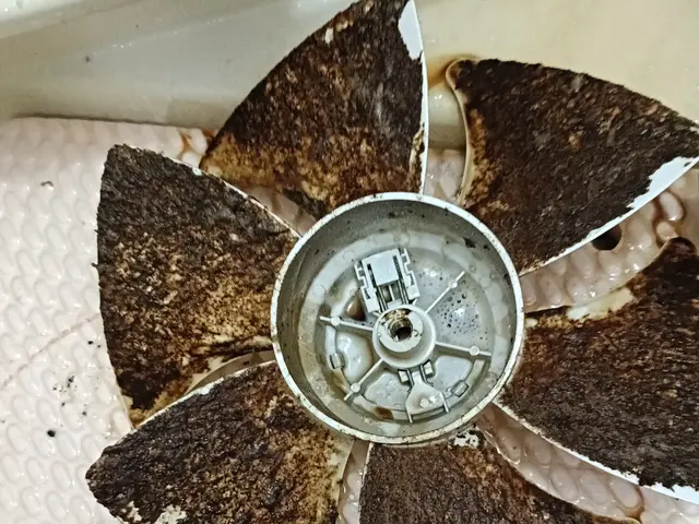 ★換気扇の油汚れはプロにお任せ！業務用の強力な洗剤で一発洗浄サービスの画像