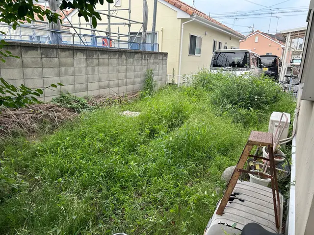 根っこまでしっかり除去します！サービスの画像