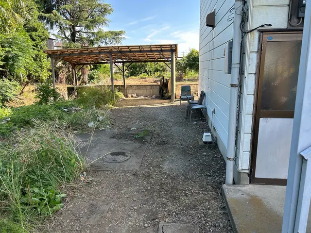 根っこまでしっかり除去します！サービスの画像