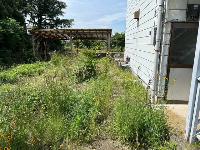 根っこまでしっかり除去します！サービスの画像