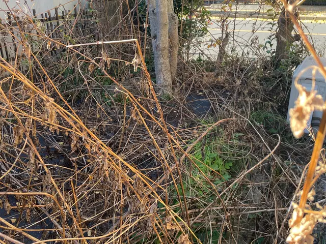 ◎朝4時から対応可能！自社スタッフがお伺いします◎迅速丁寧に仕上げますサービスの画像