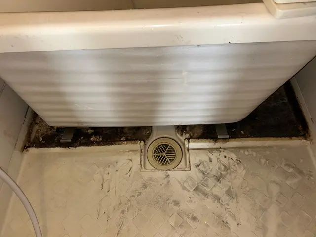 ☆浴室徹底洗浄☆《損害保険加入済み・PayPay可能》お気軽にご相談下さい!サービスの画像