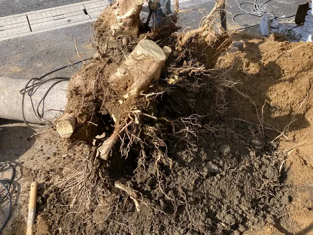 【お庭のお悩みお任せください】どんなご要望もしっかり丁寧に対応いたします！サービスの画像