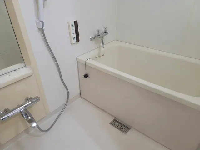 掃除のプロによる安心家事サポートサービスの画像