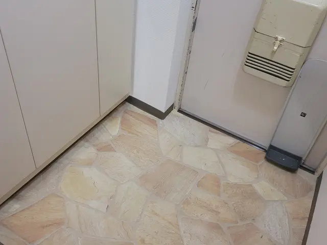 掃除のプロによる安心家事サポートサービスの画像