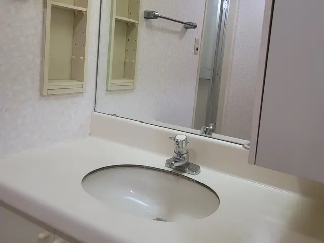 掃除のプロによる安心家事サポートサービスの画像