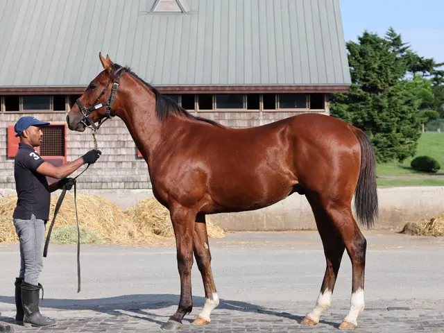 【豊島区発】平日は終日受付中◎ご予約〜撮影まで店長の私が対応いたします！