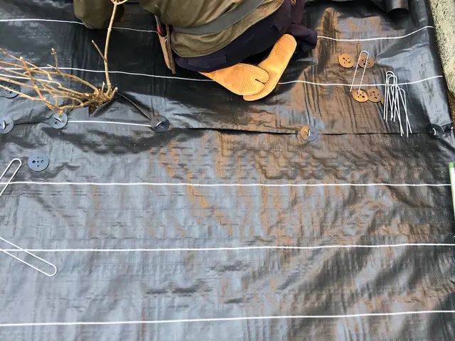 ☆業界歴23年☆外注作業一切なし！大手での経験も豊富です！お気軽にお問合せ下さいサービスの画像