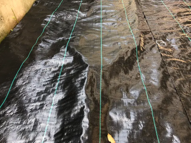 ☆業界歴23年☆外注作業一切なし！大手での経験も豊富です！お気軽にお問合せ下さいサービスの画像