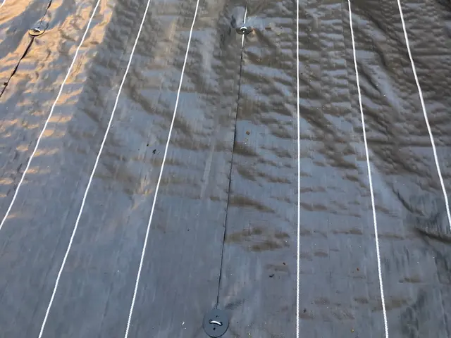 ☆業界歴23年☆外注作業一切なし！大手での経験も豊富です！お気軽にお問合せ下さいサービスの画像